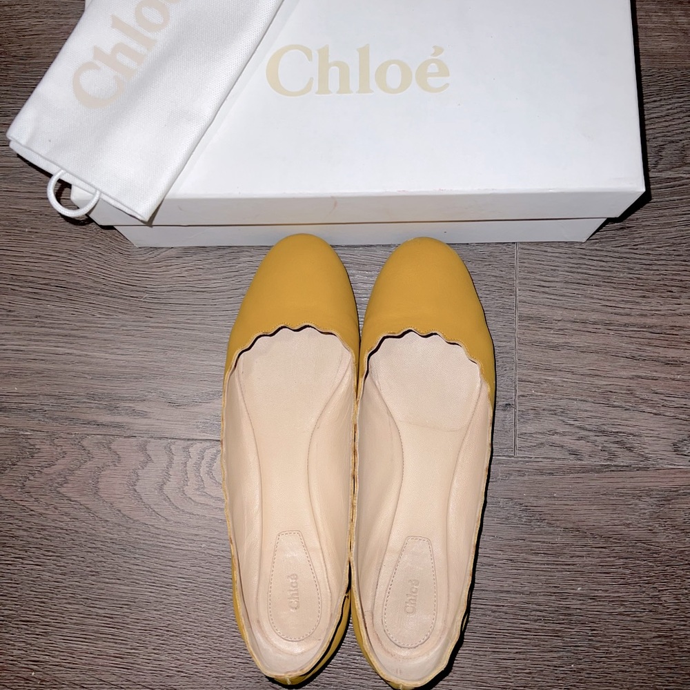 Chloe Scallop Lauren Ballerina Edge Nappa Leather Flats size 38.5